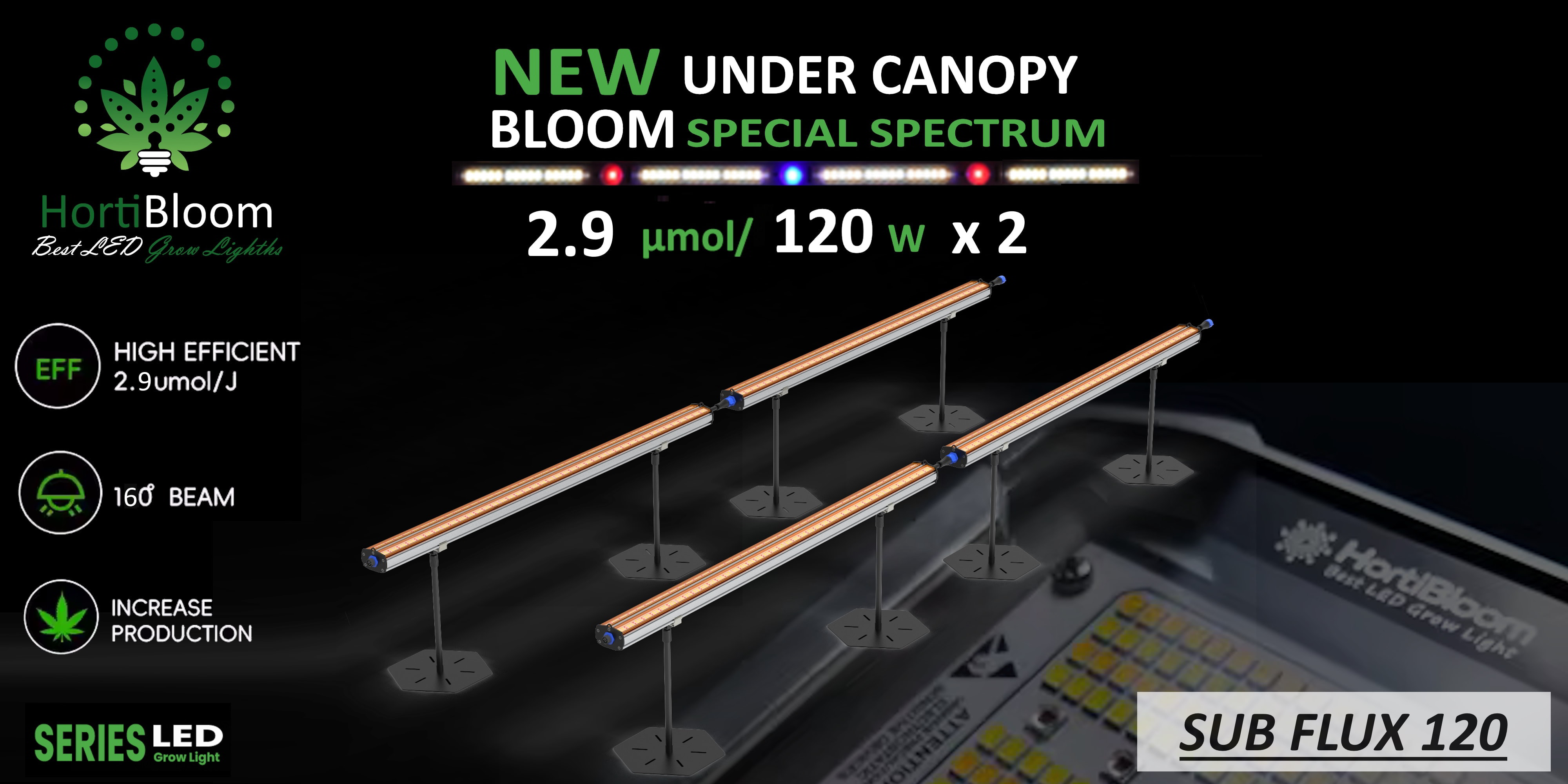 Under Canopy 19